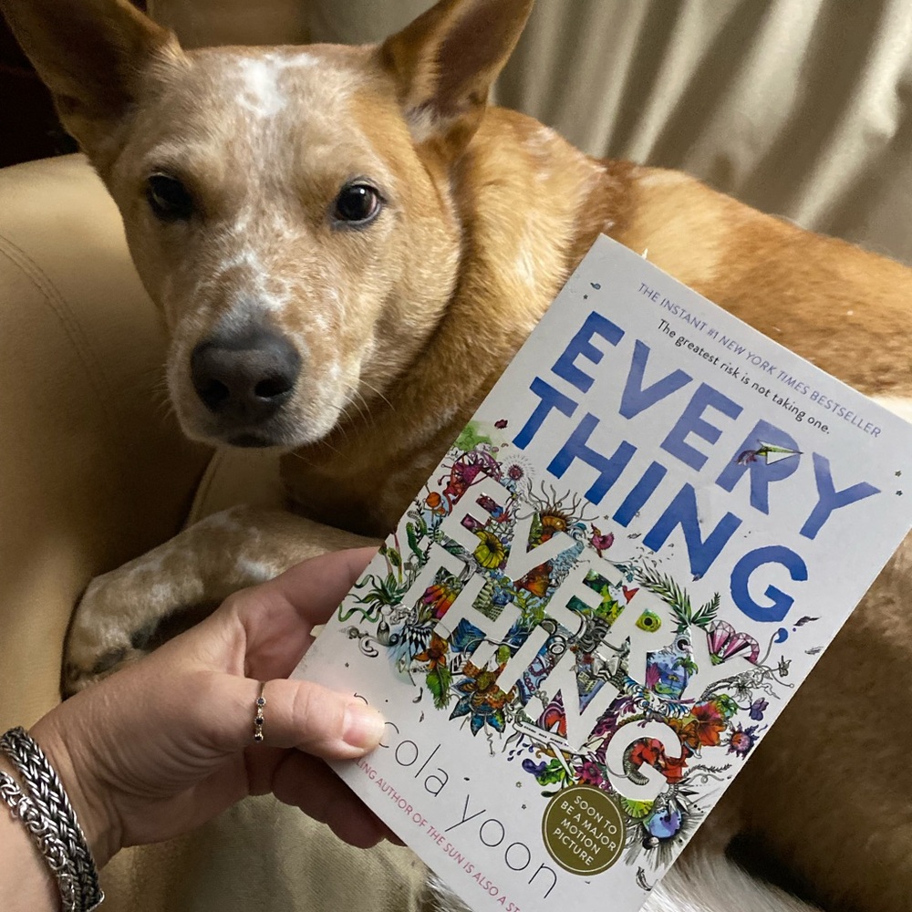 Everything Everything book by Nicola Yoon - Picture 2 of 4